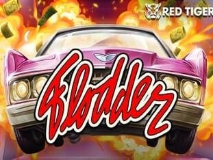 Flodder game cover